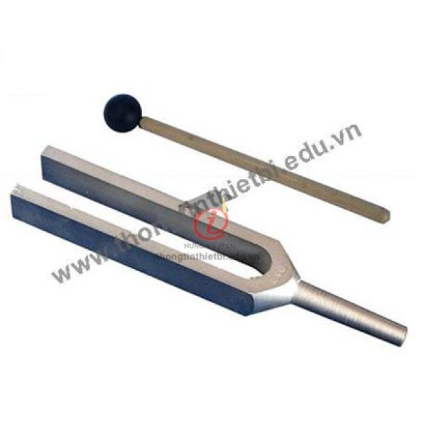 Âm thoa, búa cao su (CSVL2111)